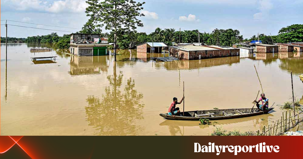 Dailyreporttm_20260429_232040_0000