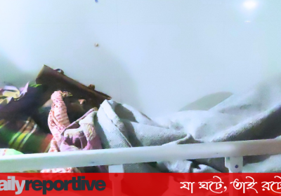 Dailyreporttm_20251208_225042_0000