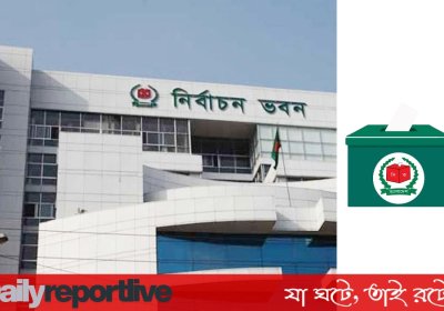 Dailyreporttm_20251218_130209_0000