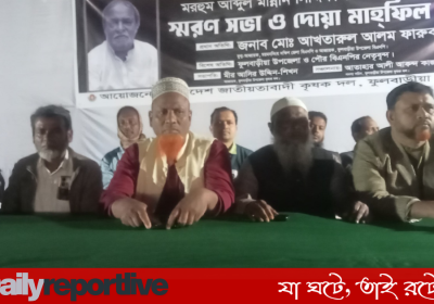 Dailyreporttm_20251222_212101_0000