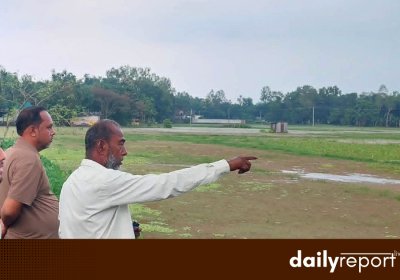 Dailyreporttm_20260802_000336_0000